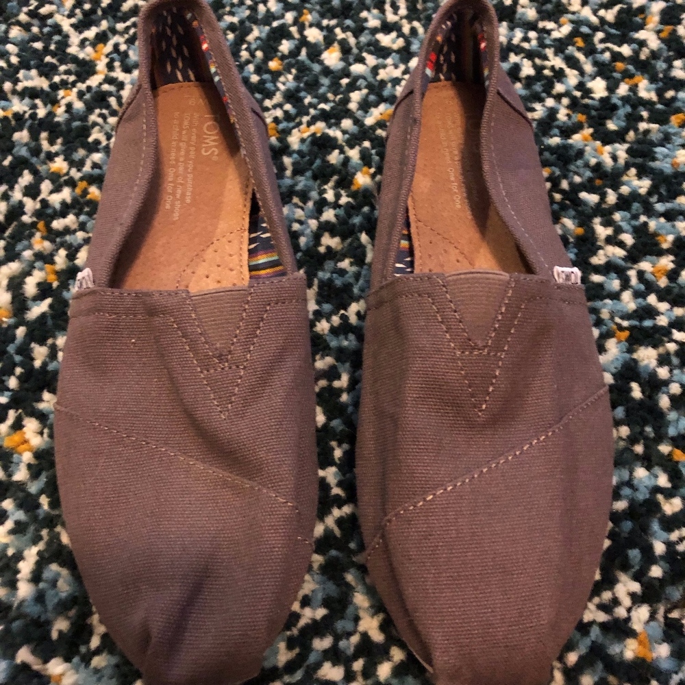 Grey toms